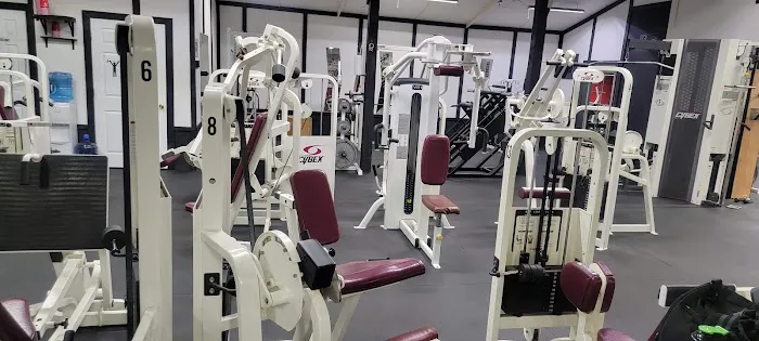 Iron Jungle Gym and Fitness Picture 1