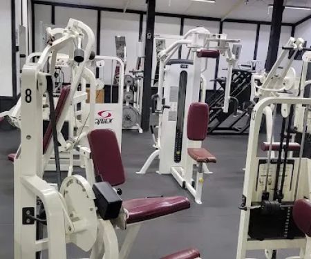 Iron Jungle Gym and Fitness