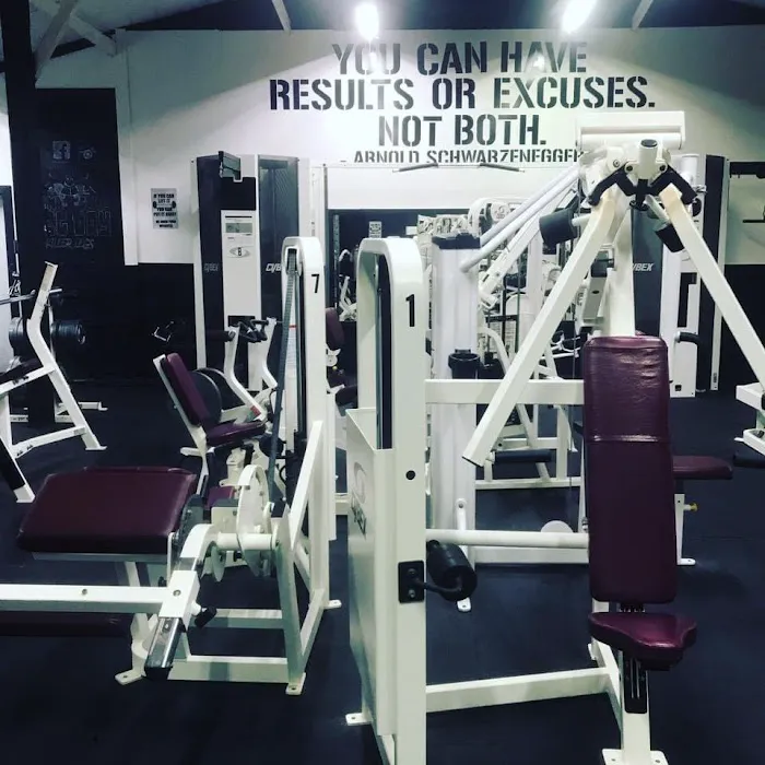 Iron Jungle Gym and Fitness Picture 4