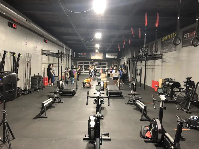 Newton Elite Fitness Picture 2