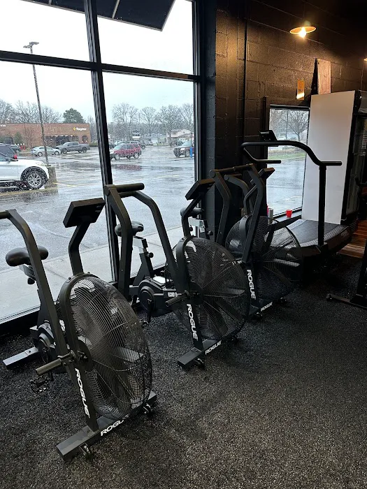 Strong House by Todd Weiss Fit Picture 6