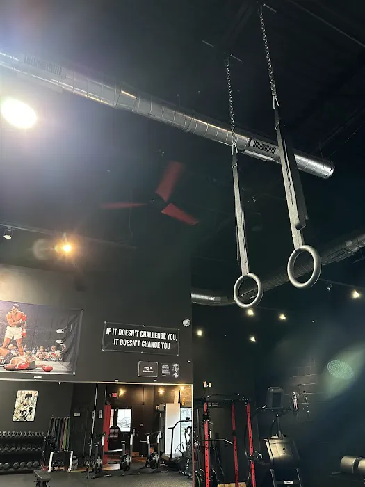 Strong House by Todd Weiss Fit Picture 8