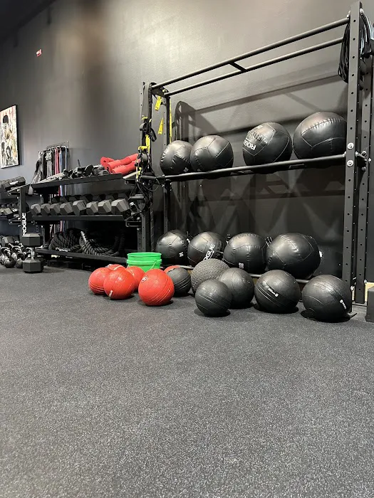 Strong House by Todd Weiss Fit Picture 2