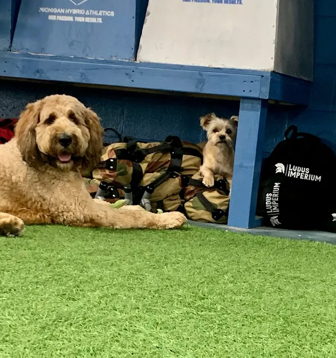 Michigan Hy-Fit Athletics Picture 9