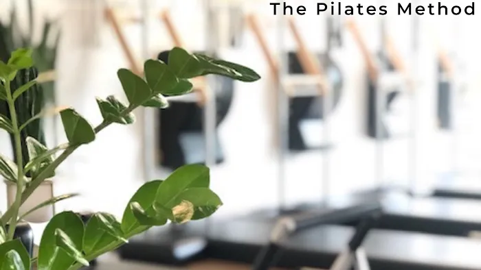 The Pilates Method Picture 9