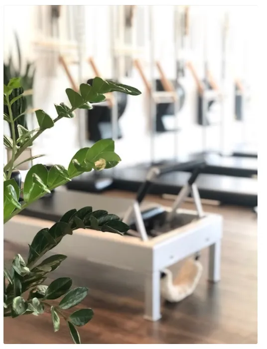 The Pilates Method Picture 8