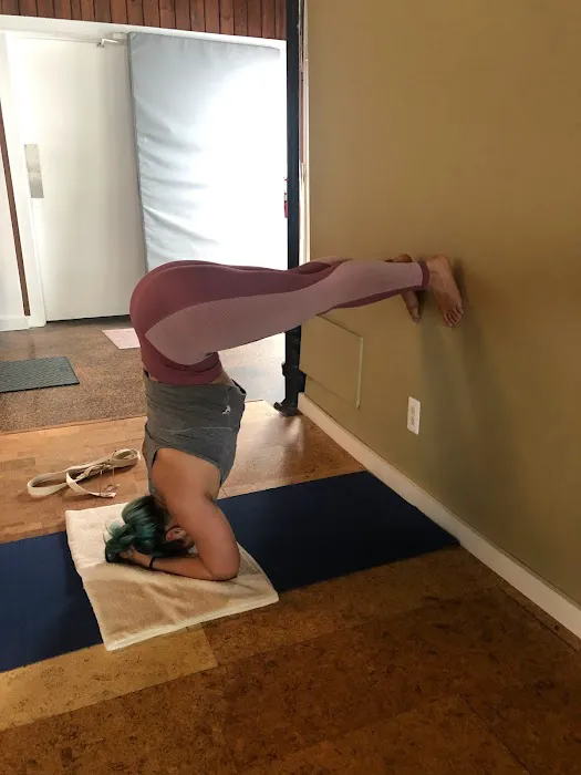 Iyengar Yoga Detroit Picture 1