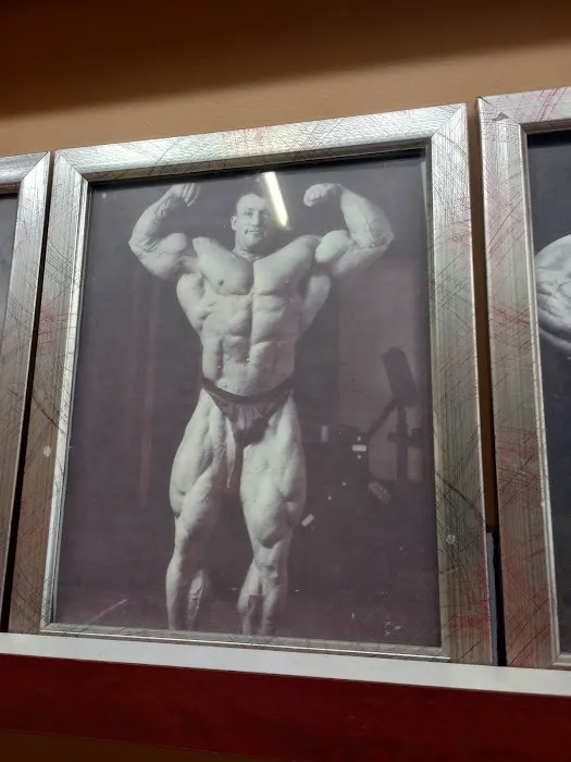 Powerhouse Gym Picture 3