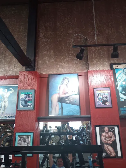 Powerhouse Gym Picture 2