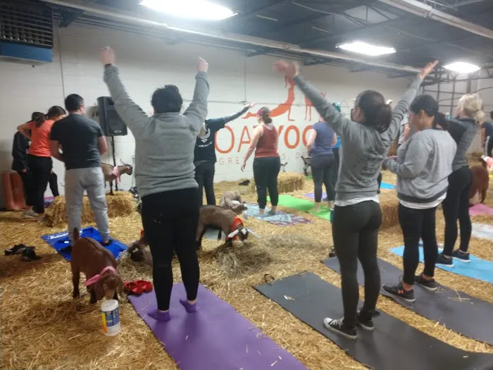 Pingree Farms Goat Yoga Studio Picture 2