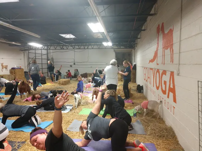 Pingree Farms Goat Yoga Studio Picture 1