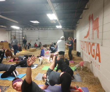 Pingree Farms Goat Yoga Studio