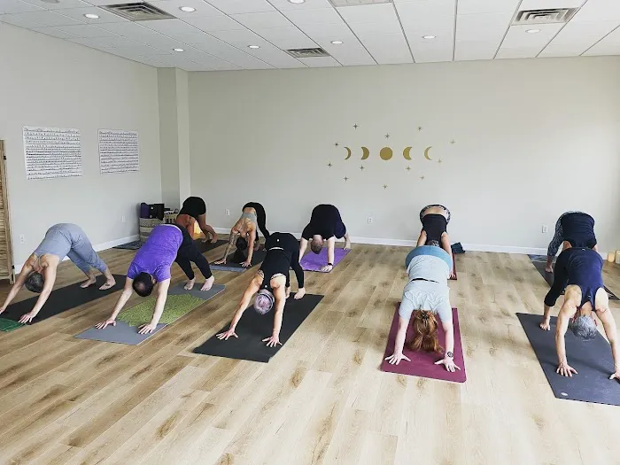 East Eleven Yoga Picture 3