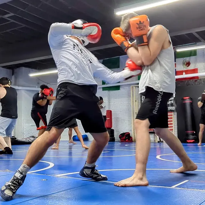 Ground Zero MMA Picture 8