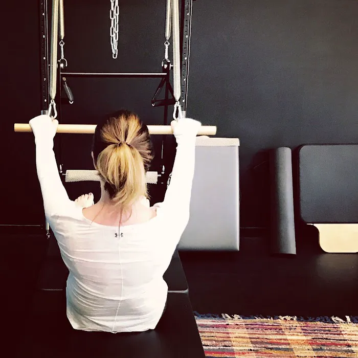 Pilates Detroit Picture 8