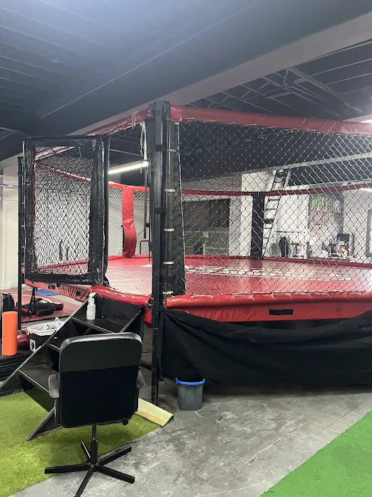 Ground Zero MMA Picture 5