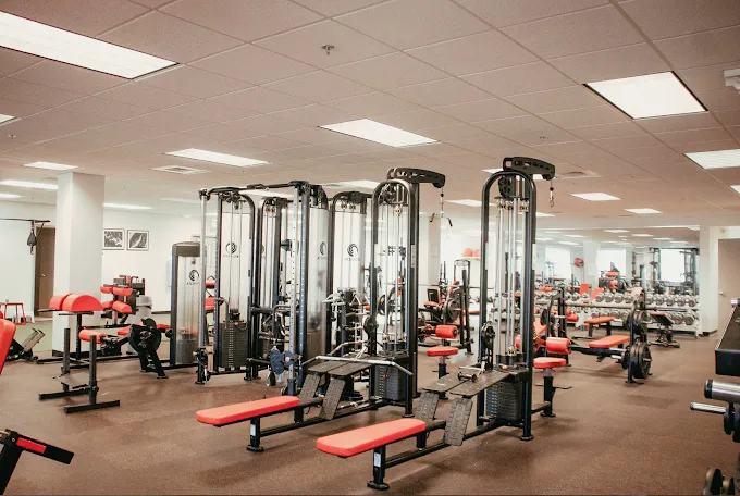 Body by Choice Training Picture 9