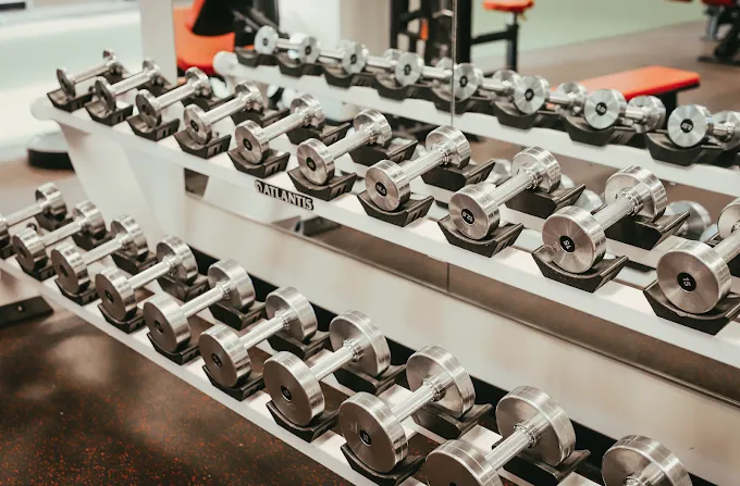 Body by Choice Training Picture 3