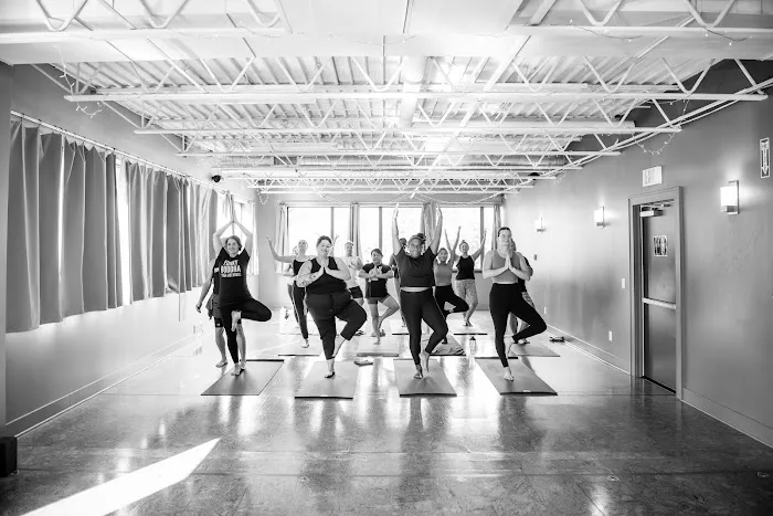 Funky Buddha Yoga Hothouse Picture 4