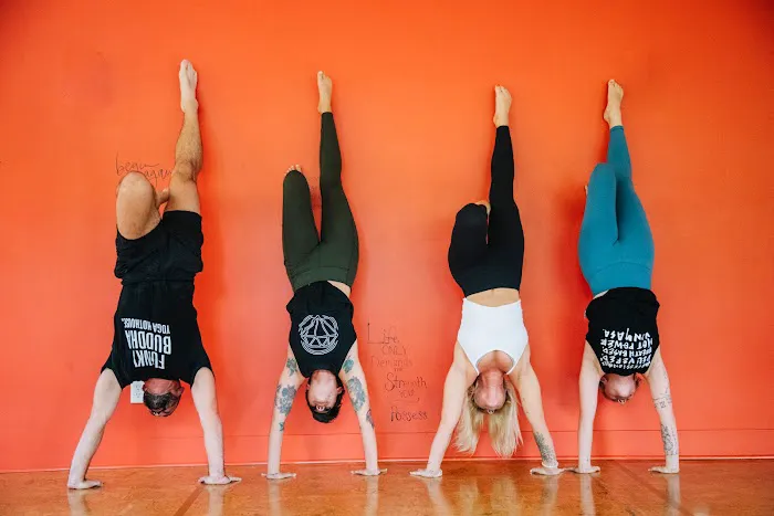 Funky Buddha Yoga Hothouse Picture 6