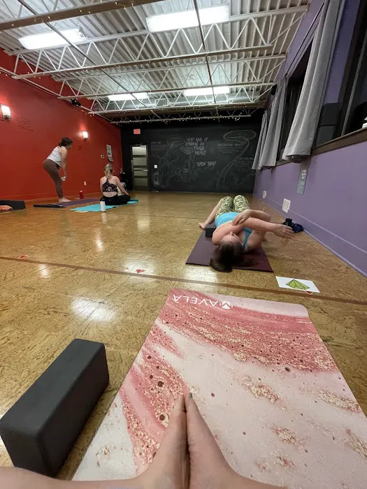 Funky Buddha Yoga Hothouse Picture 10