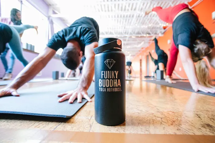 Funky Buddha Yoga Hothouse Picture 5