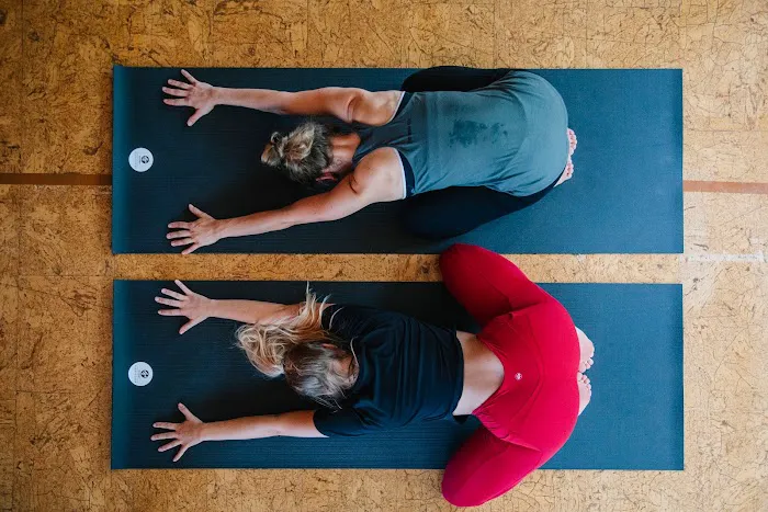 Funky Buddha Yoga Hothouse Picture 10