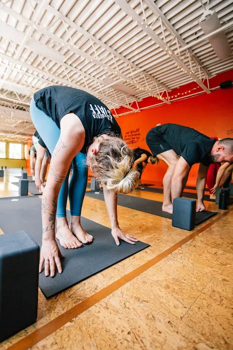 Funky Buddha Yoga Hothouse Picture 6