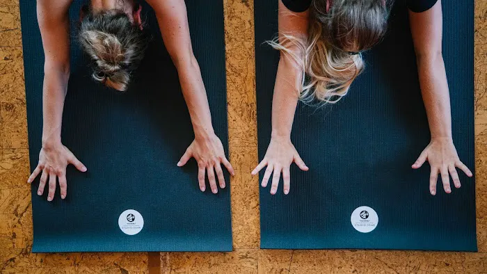 Funky Buddha Yoga Hothouse Picture 2