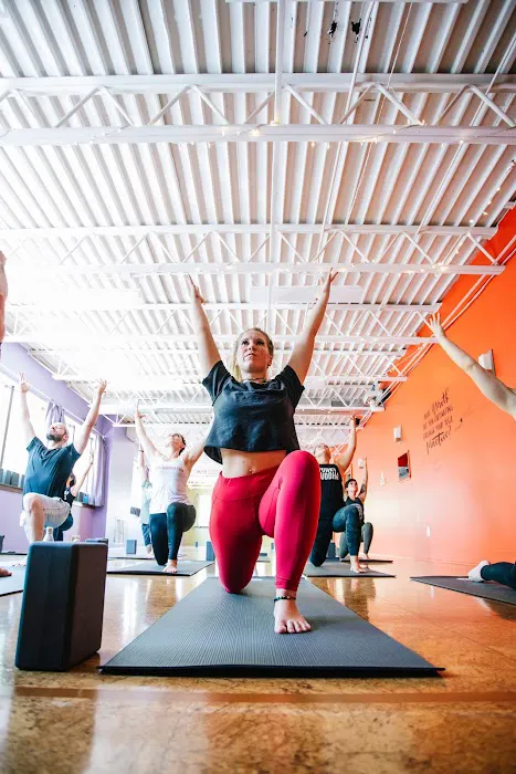 Funky Buddha Yoga Hothouse Picture 8