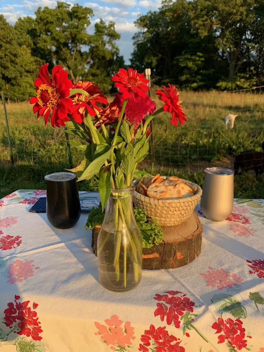 Bluebird Meadow Goat Yoga LLC Picture 3