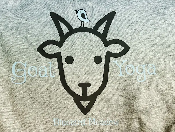 Bluebird Meadow Goat Yoga LLC Picture 9