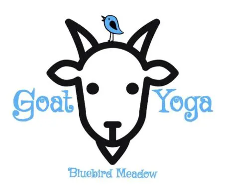 Bluebird Meadow Goat Yoga LLC Picture 2
