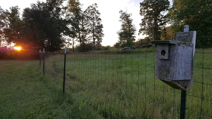Bluebird Meadow Goat Yoga LLC Picture 8