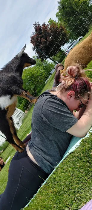 Bluebird Meadow Goat Yoga LLC Picture 4
