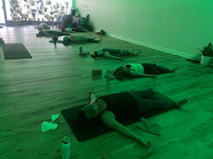 The Barefoot Dragon Yoga & Wellness Studio Picture 7