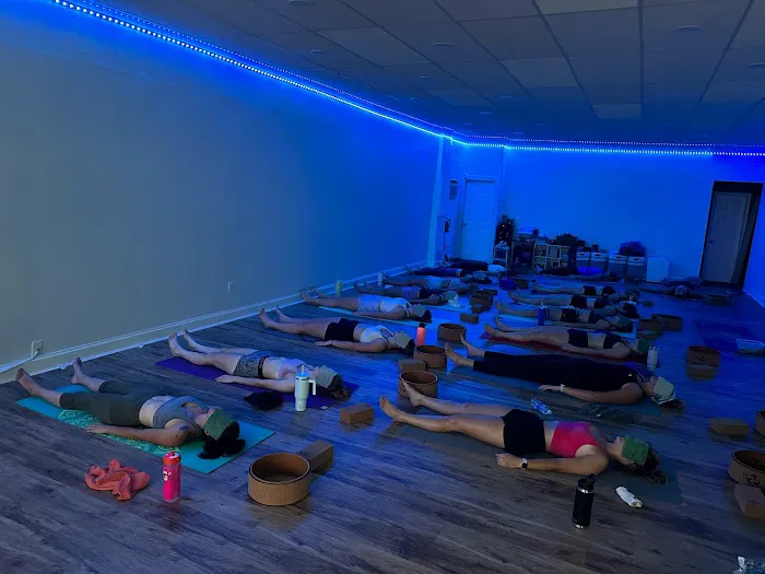 The Barefoot Dragon Yoga & Wellness Studio Picture 5