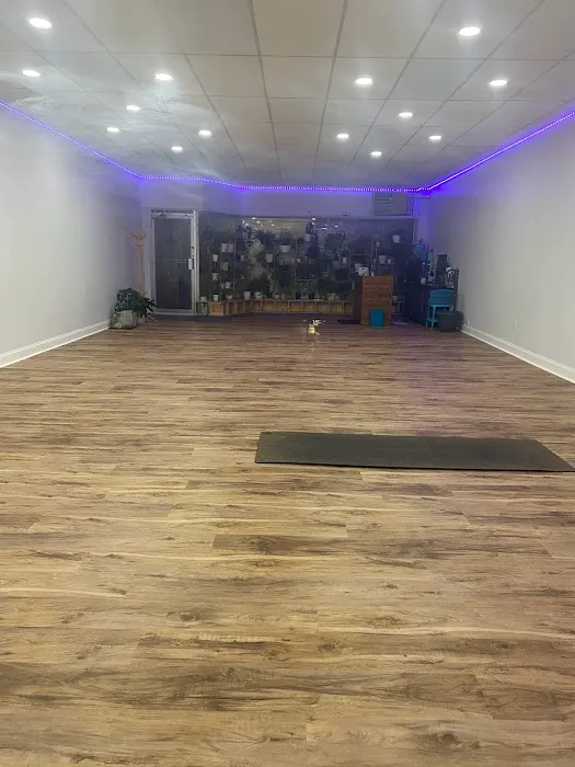 The Barefoot Dragon Yoga & Wellness Studio Picture 2