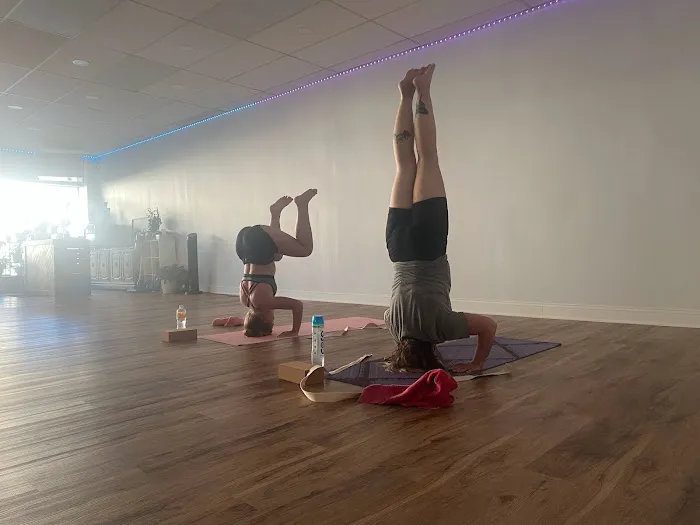 The Barefoot Dragon Yoga & Wellness Studio Picture 10