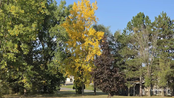 Greenville Regional YMCA (Club Fitness Center) Picture 8