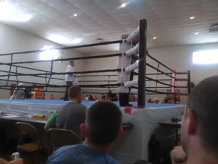 The Michigan Golden Gloves Association, Inc Picture 4