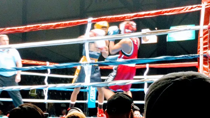 The Michigan Golden Gloves Association, Inc Picture 1