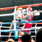 The Michigan Golden Gloves Association, Inc