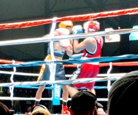The Michigan Golden Gloves Association, Inc