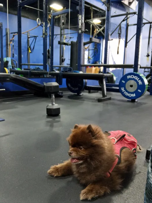 Best At Training Studio Picture 2