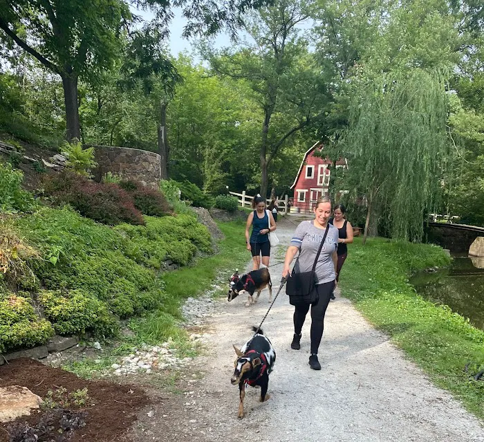 Nature's Trail Yoga Picture 4