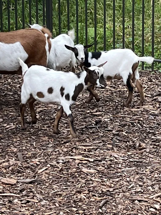 Nature's Trail Yoga Picture 6