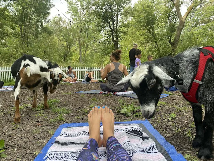 Nature's Trail Yoga Picture 3