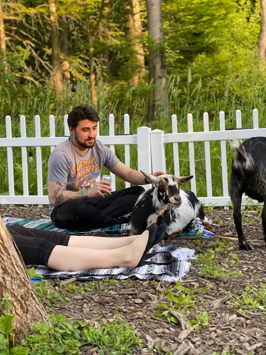 Nature's Trail Yoga Picture 10