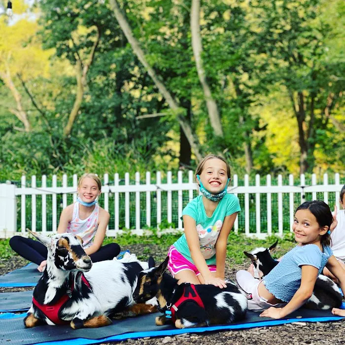 Nature's Trail Yoga Picture 9